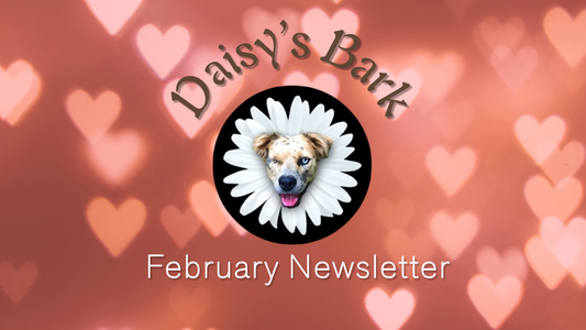 Daisy's Bark: February Newsletter