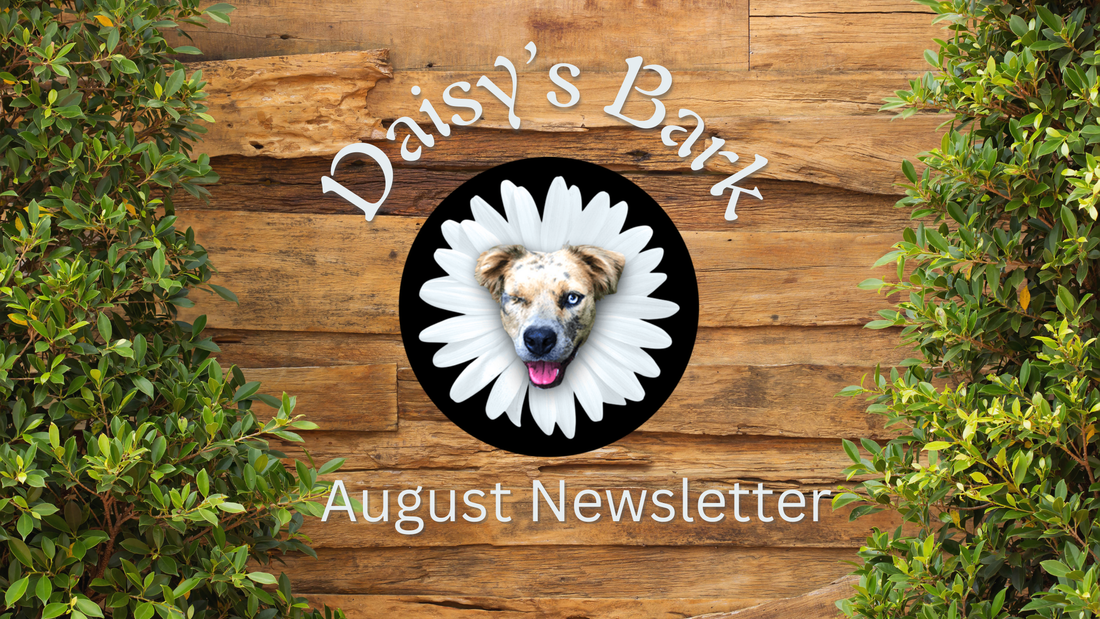 Daisy's Bark : August Newsletter