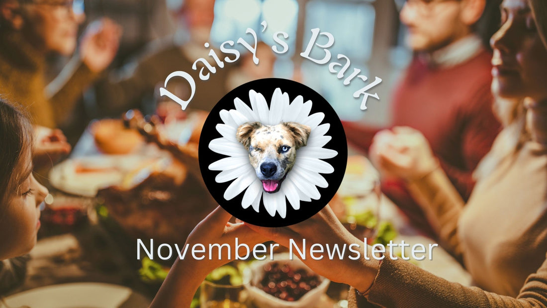 November Newsletter