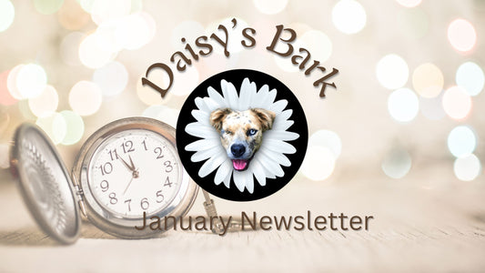 Daisy's Bark: January Newsletter