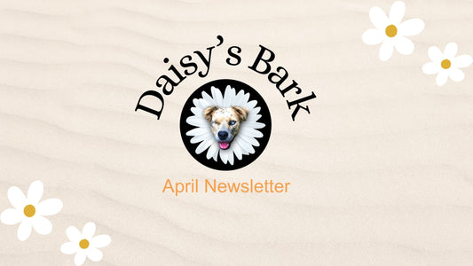 Daisy's Bark: April Newsletter