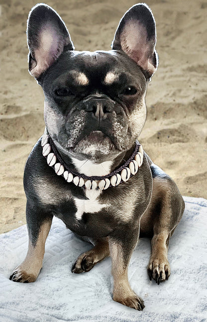 Seashell Dog Collar