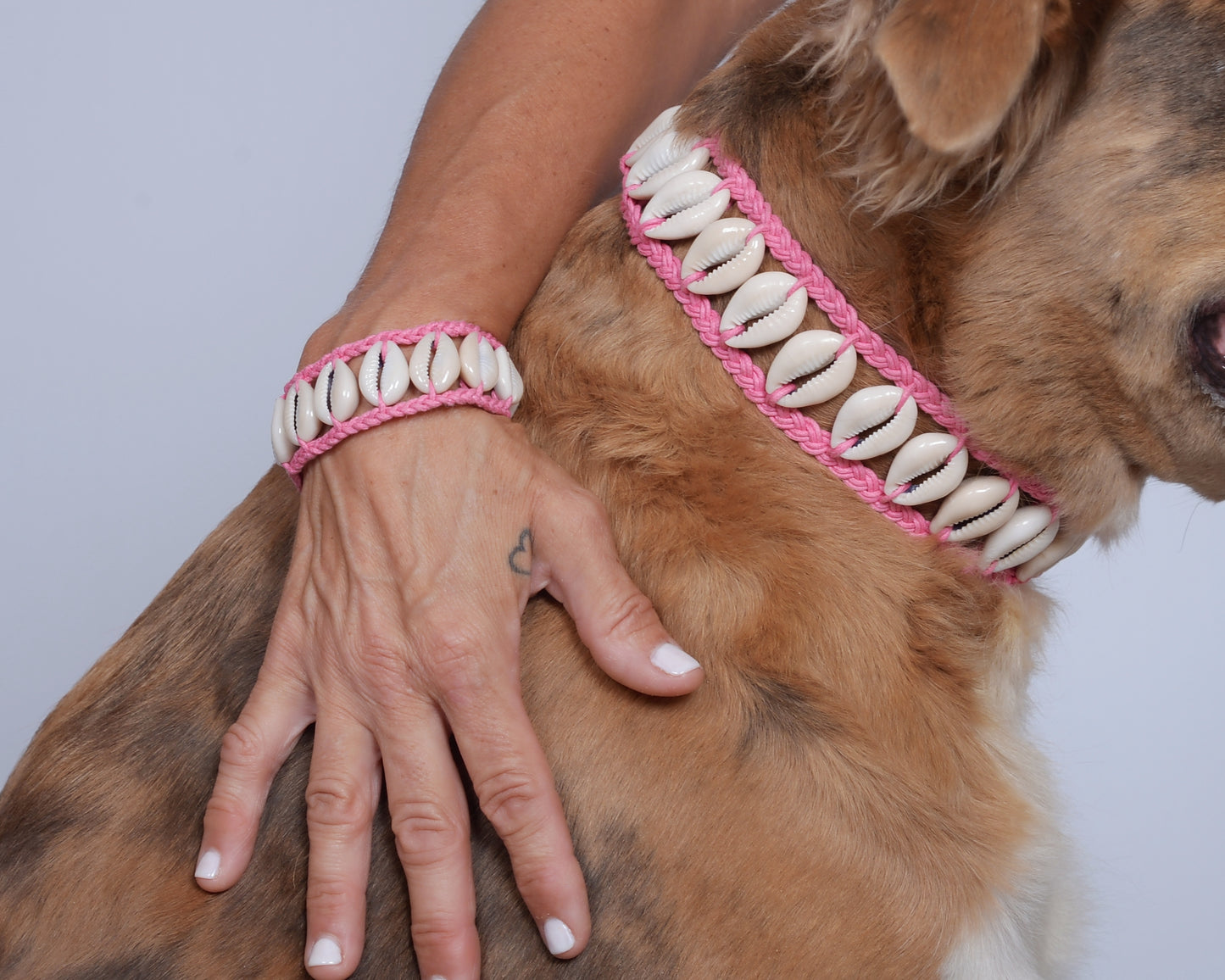 Seashell Bracelet/Anklet