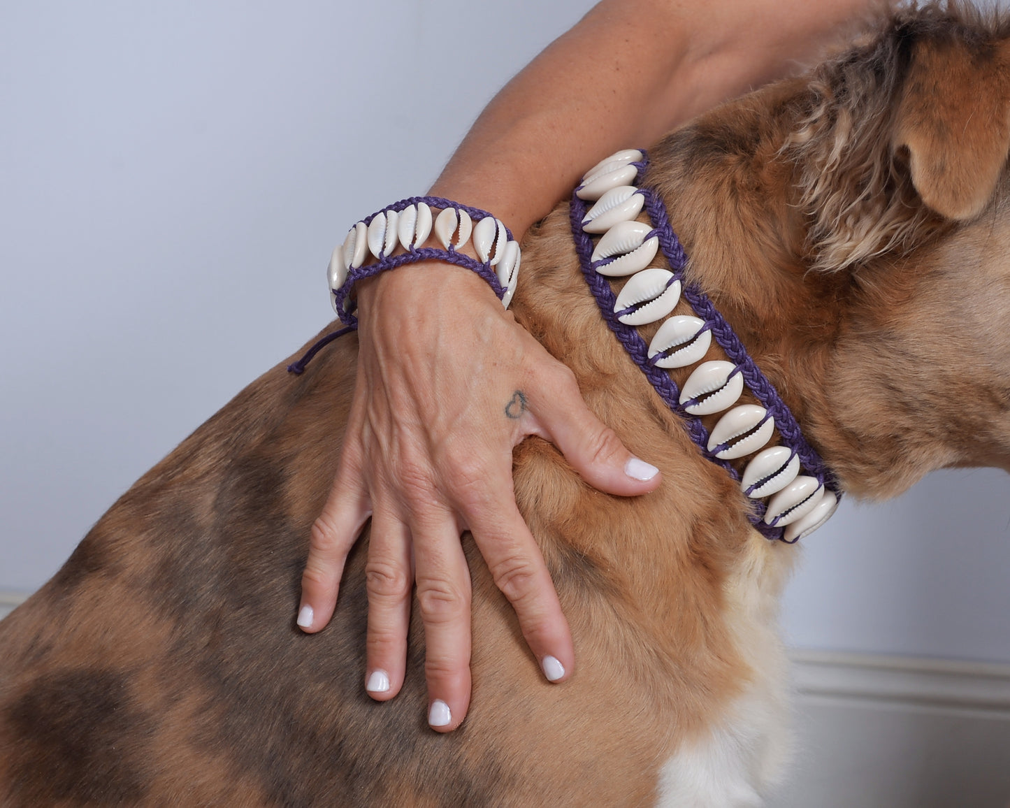 Seashell Dog Collar