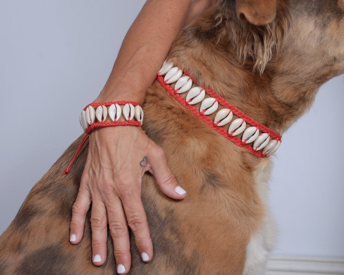 Seashell Bracelet/Anklet