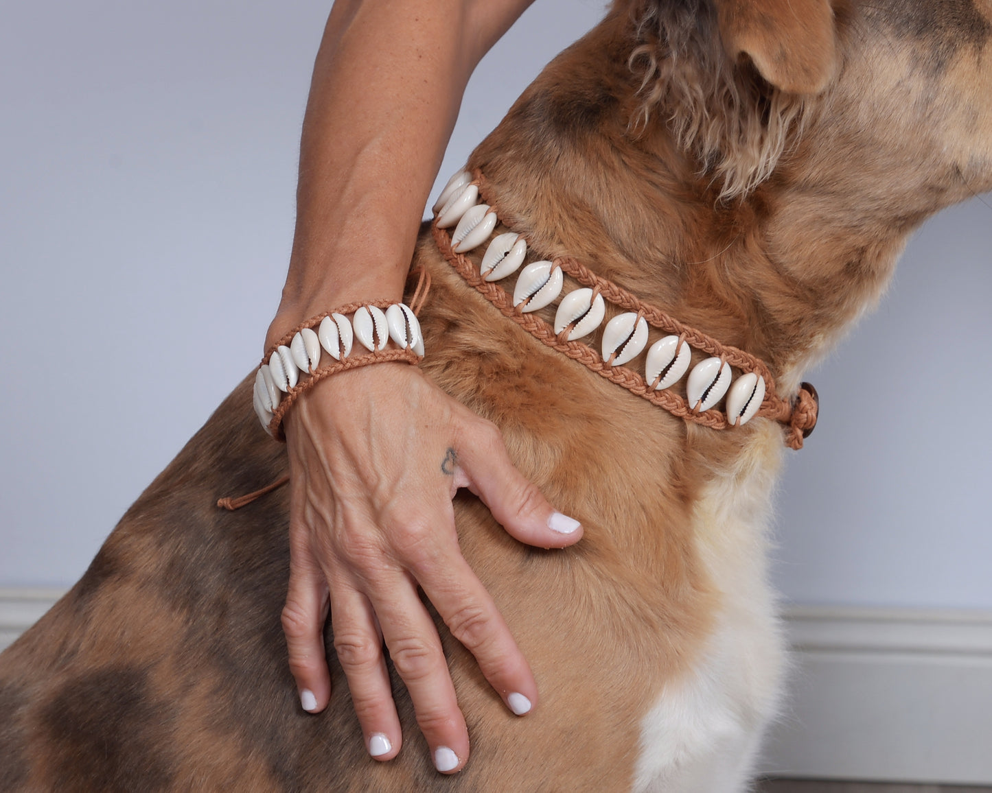 Seashell Bracelet/Anklet