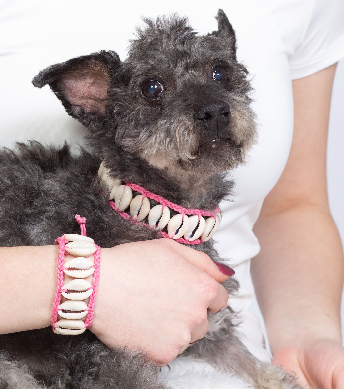 Seashell Dog Collar